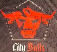 citybulls